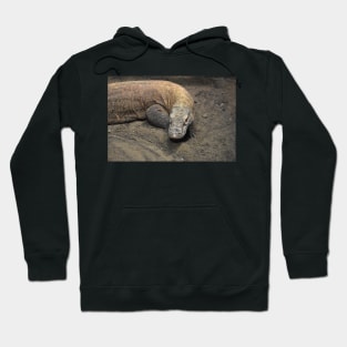 Komodo Dragon Hoodie